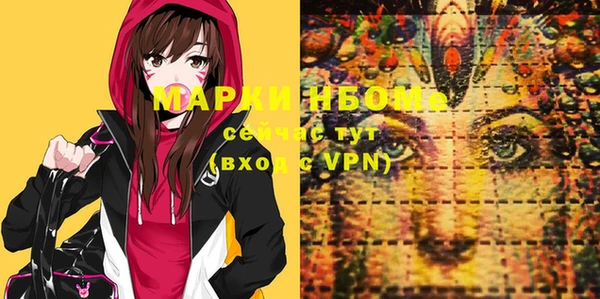 хмурый Магас