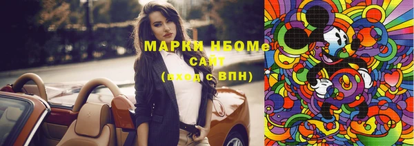 хмурый Магас