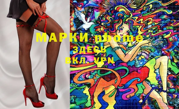 хмурый Магас