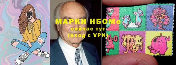 хмурый Магас
