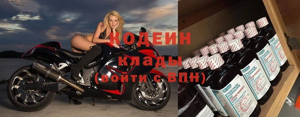 хмурый Магас