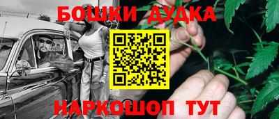 шишки Бийск