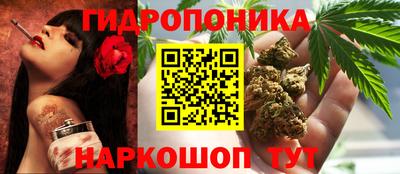 мяу мяу мука Гусев
