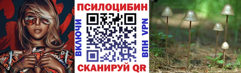 Псилоцибиновые грибы мицелий  Омск 