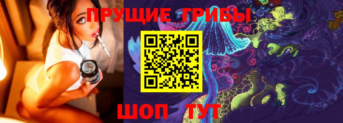 Омск  Псилоцибиновые грибы Cubensis  Вход с VPN 