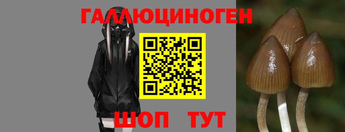 Галлюциногенные грибы GOLDEN TEACHER Омск