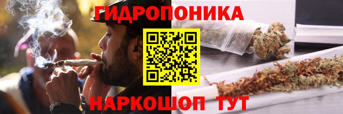Омск  Шишки марихуана план  Вход с VPN  Канабис план  Марихуана тримм 